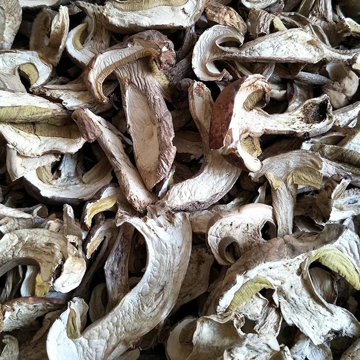 export Dried Frozen Boletus Slices / Wholesale Boletus Edulis Dried