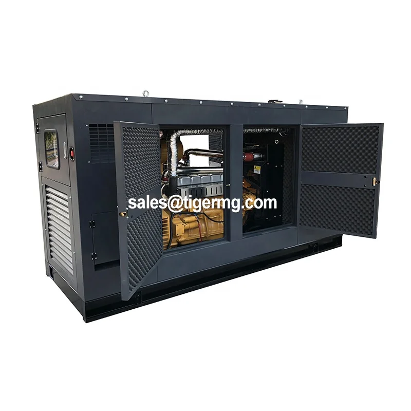 Factory supply high efficiency natural gas generator 50kw with chp boiler