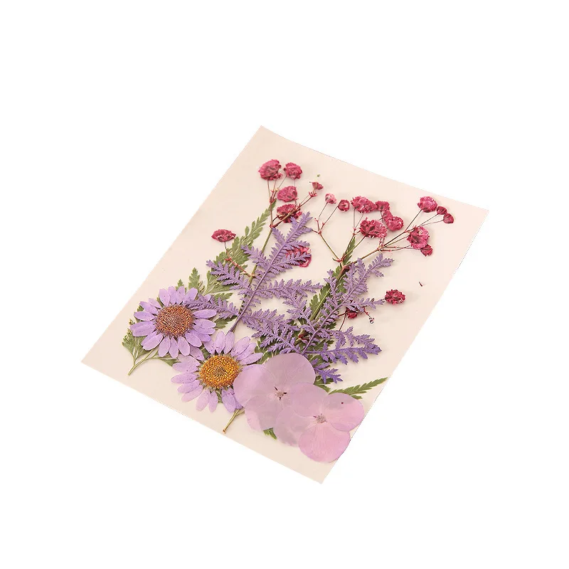 Dried flower bookmark creative hand-embossed diy real flower material package small gift Homemade plant specimen notes wholesale