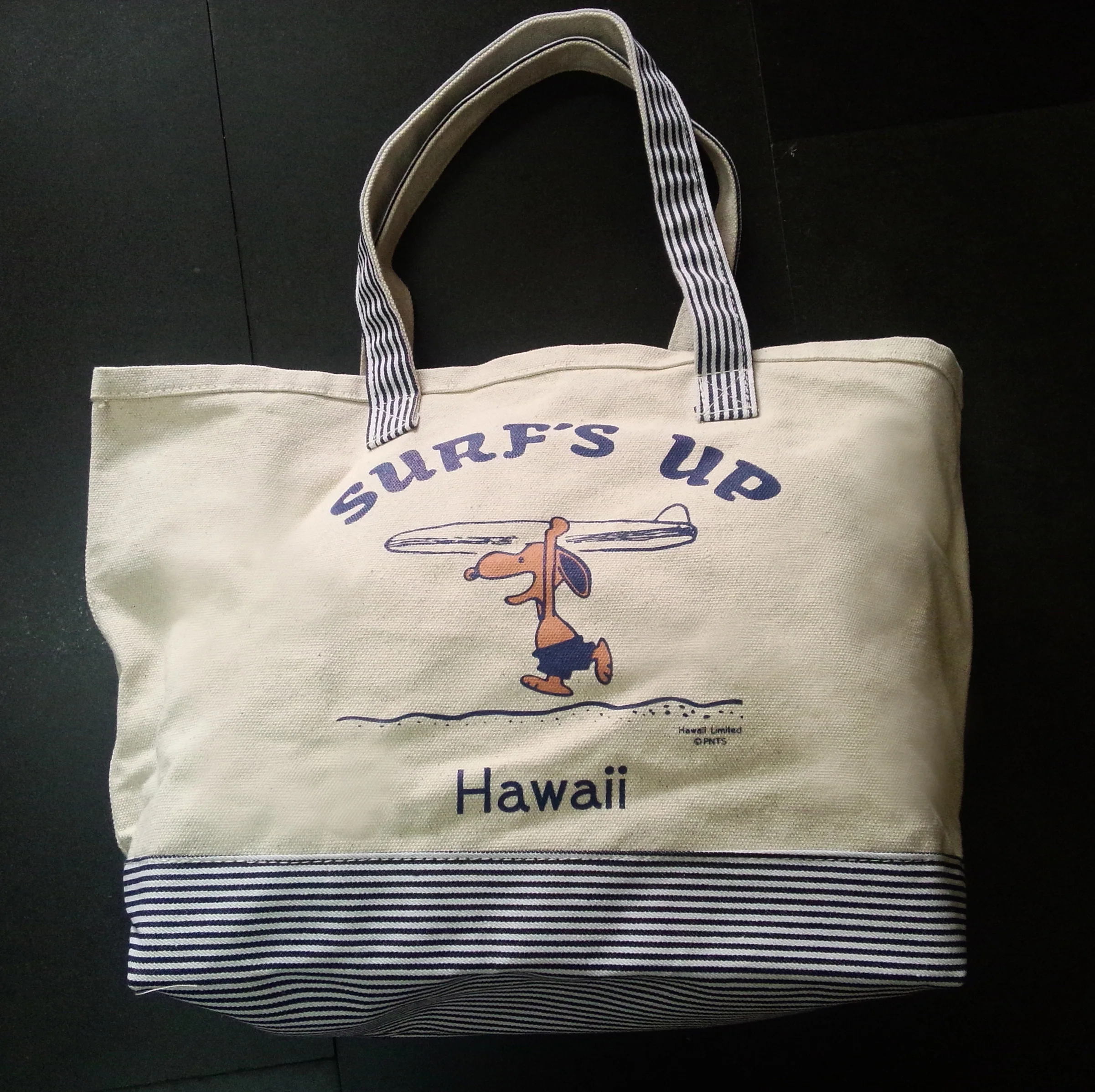 insulated grocery bag