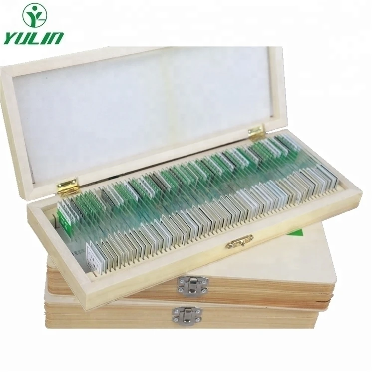 Microscope slides set for medical science high quality laboratory research and teaching parasitology