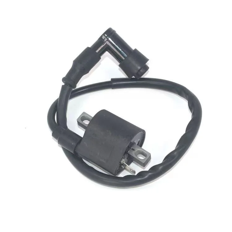 Supply motorcycle tricycle JH70/90 high-voltage package