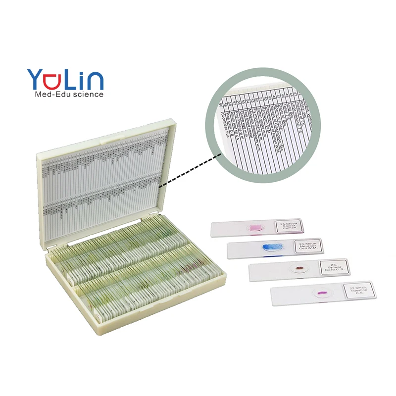 100 Pcs Medical Science Microscope Prepared Slides Human Tissue Slides Human Histology Slides