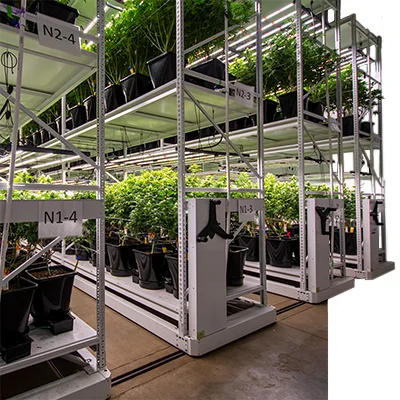 Greenhouse Modular Revolutionize Agriculture Vertical Vegetable Farming