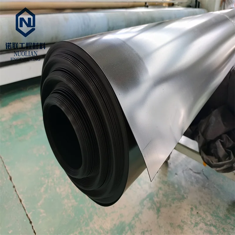 Waterproof Geomembrane Plastics Membrane Guangdong for Sale