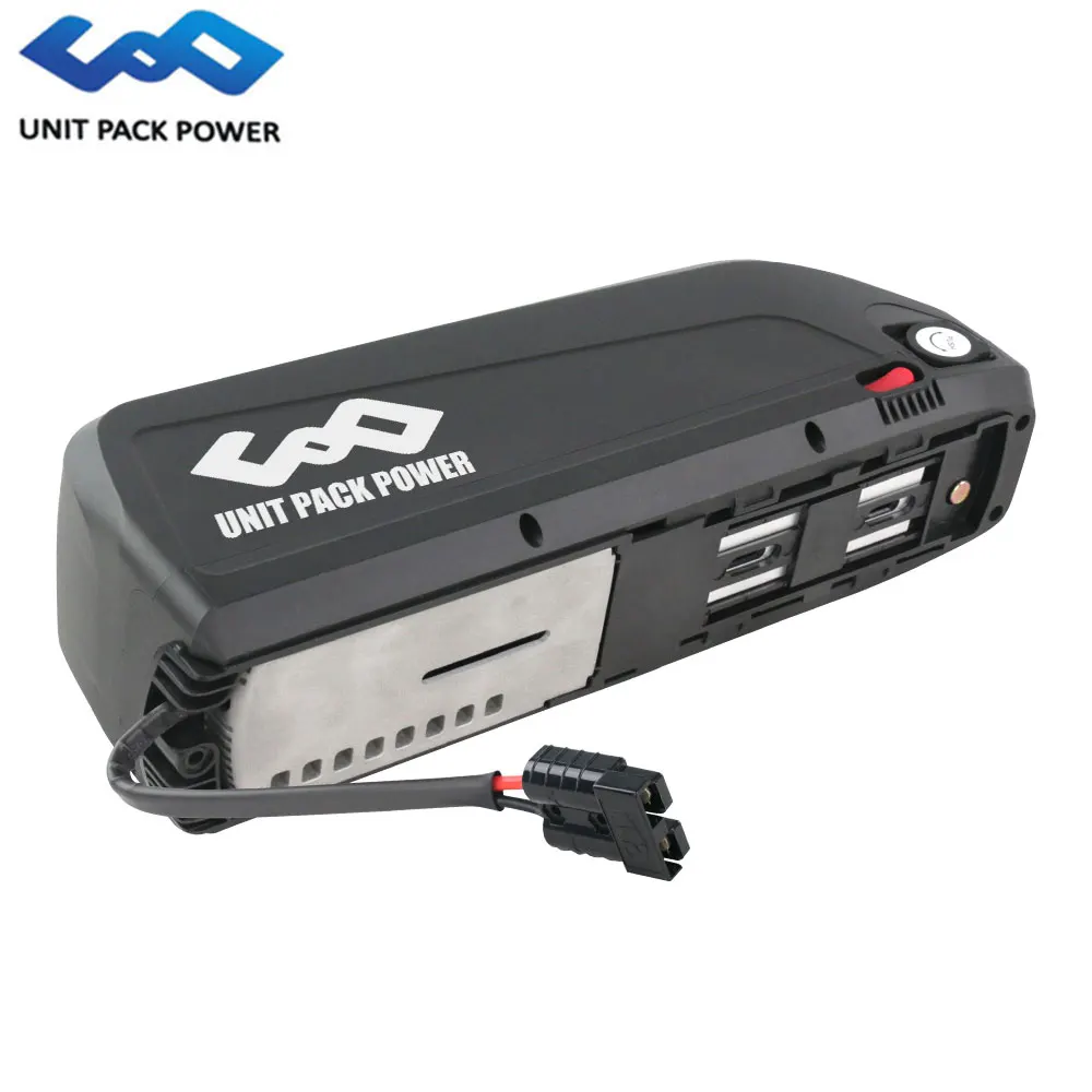 Electric Bicycle Battery Hailong Ebike Battery Cells 20A 30A 40A 750W 1000W 1200W 1500W Motor BMS for Lithium Battery