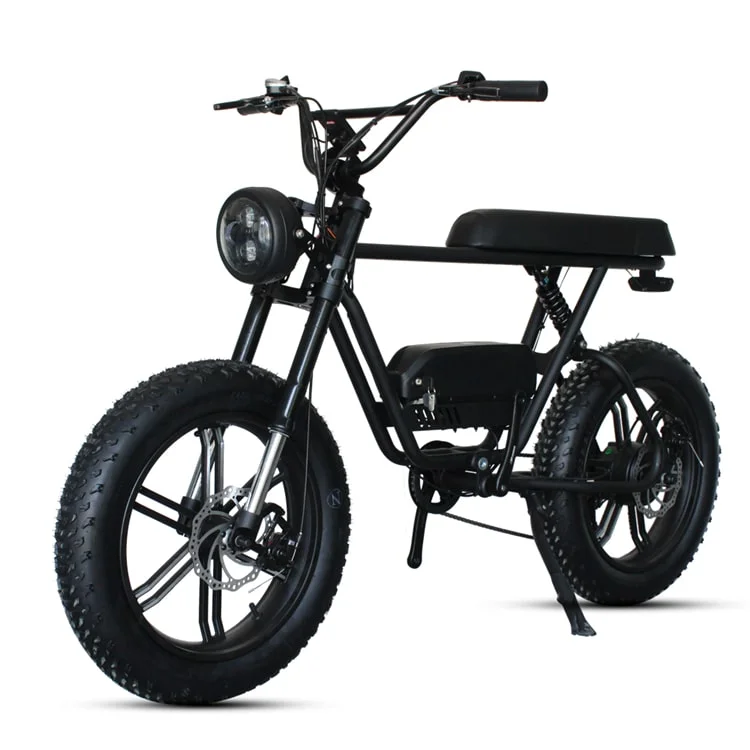Factory Hot Products 20 Fat Tyre Mountain Electric Bicycle Long Saddle Full Suspension Electric Bike Rear Drive Ebike