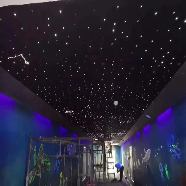 16W RGBW Twinkle Starry Sky Car Roof Star Ceiling Light kit Music control bluetooth app Led fiber optic light