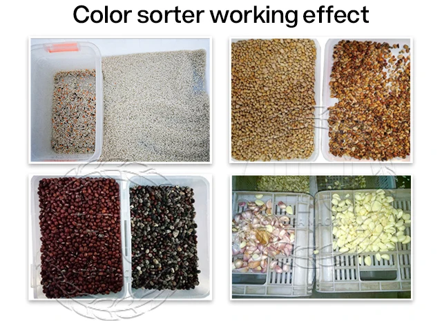 Low Price High Quality Oats Sorting Machinery Shelled Peanut Color Sorting Machine CCD Rice Separation Machine for sale