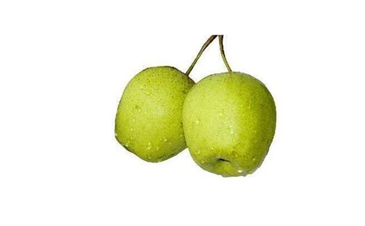 Factory Direct Wholesale Fresh High Quality Low Price Pear From China
