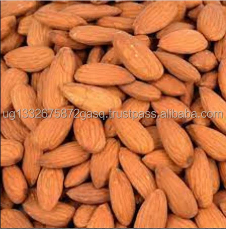 wholesale usa raw dry fruits almond nuts in bulk california almonds