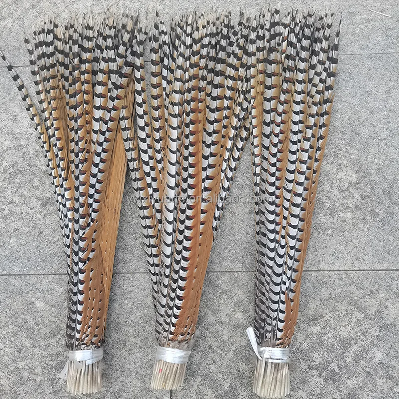Natural Pheasant Feathers 10-160 cm Long Reeves Pheasant Tail Feathers for Carnival