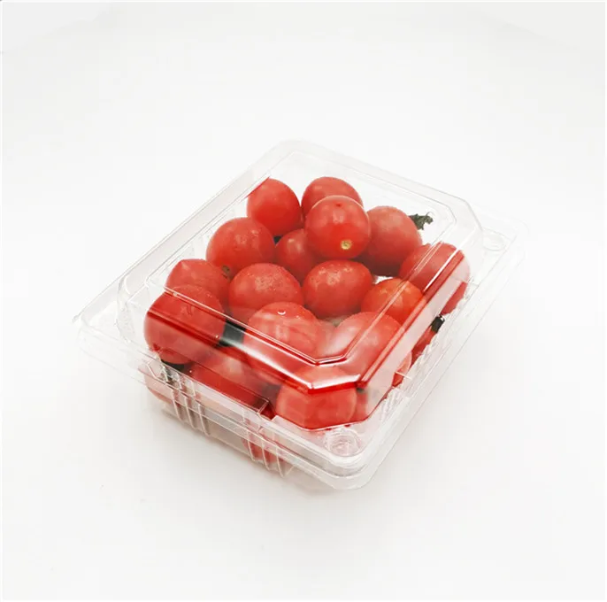 Hot sell vegetables or fruit box trays packing fruit sushi takeout box from professional manufacturer