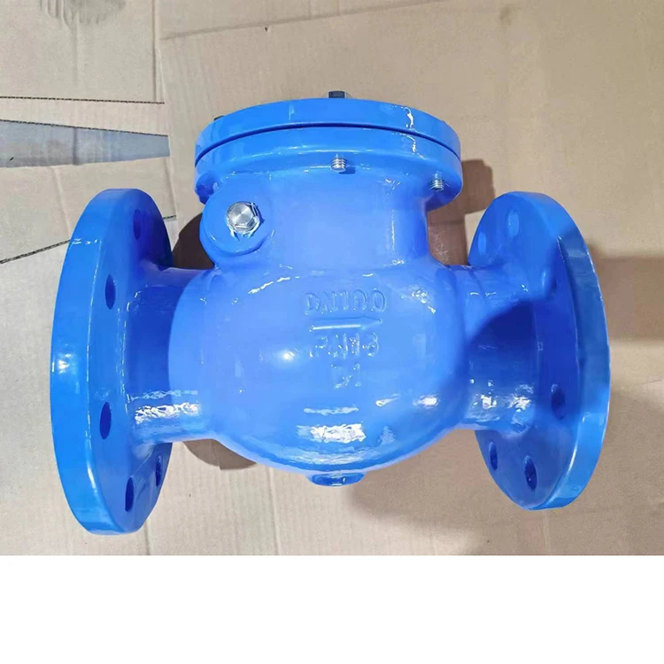 PN16 Cast Iron Swing Check Valve with Weight