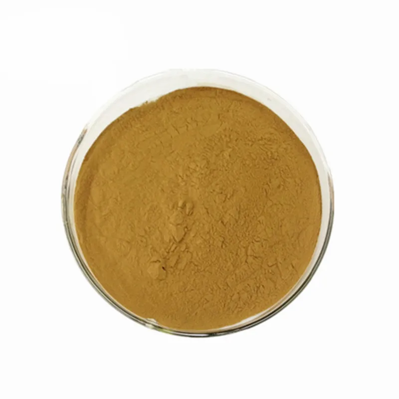 Traditional Chinese lotus flavone / foliumnelumbinis extract