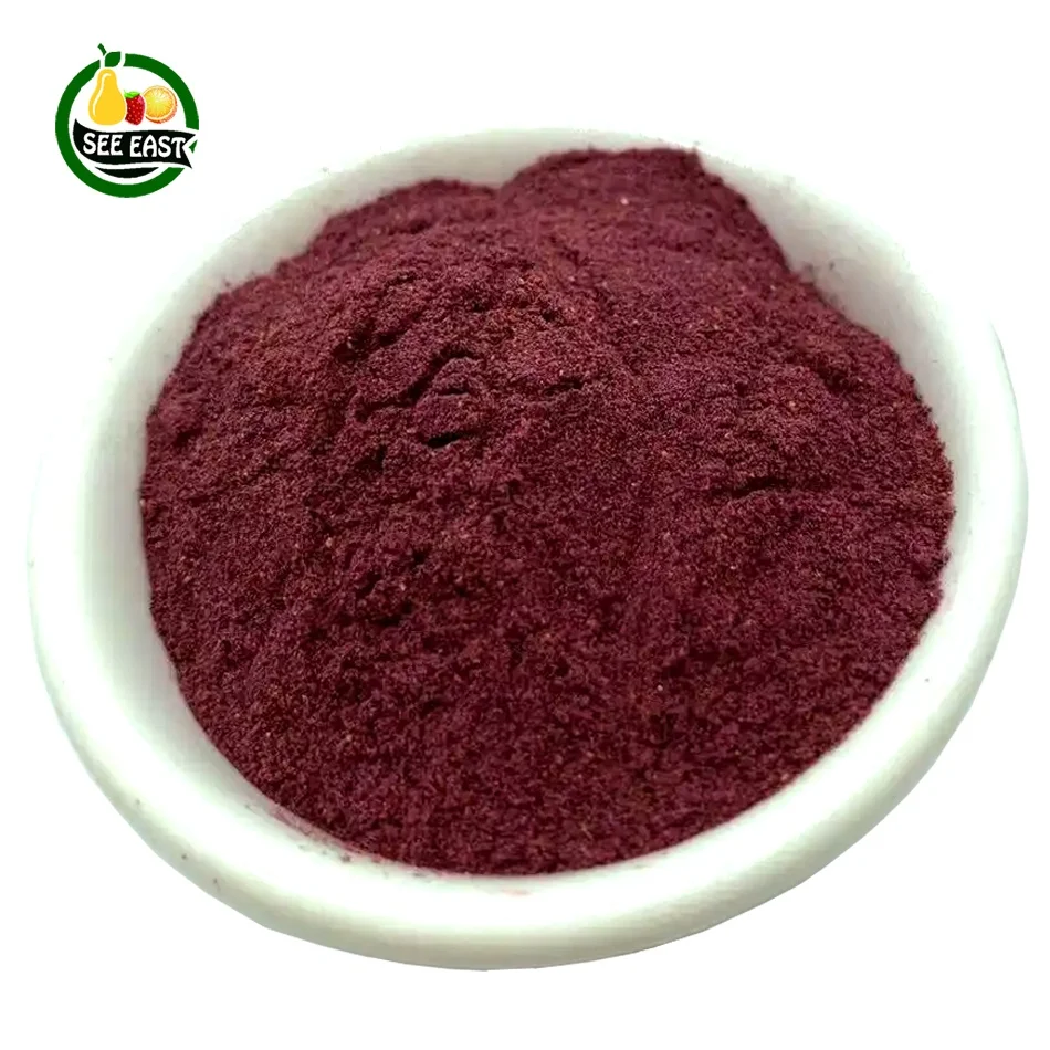 Direct sale of shake ingredient pure natural 100% dried fruit powder no additives freeze dried blueberry flour