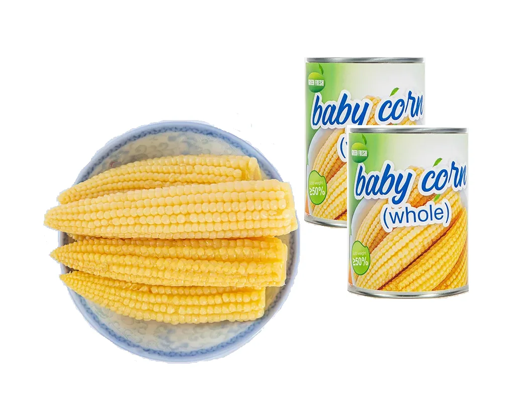 New season canned chinese yellow baby corn in tin in brine  low price & high quality