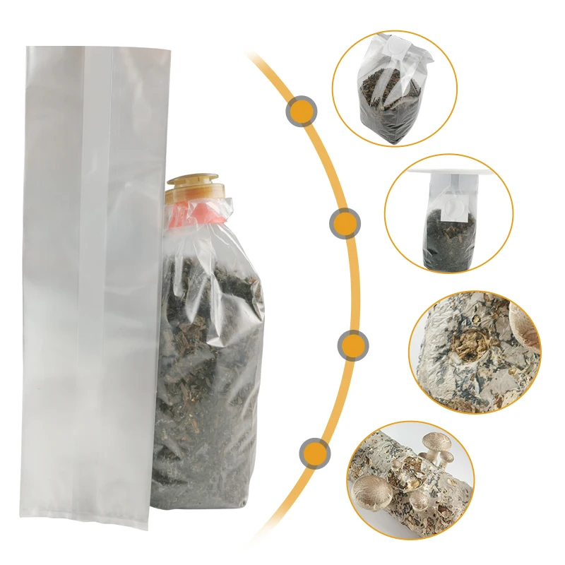 0.5micron Oyster/shiitake mushroom grow bag mushroom spawn spawn grow bags