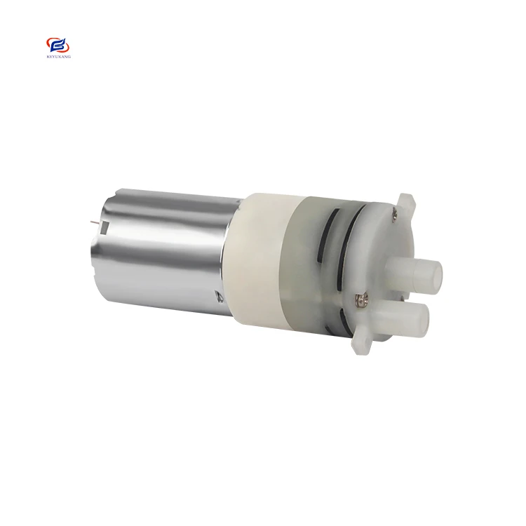 Fast Shipping Low Power Consumption Micro Electric Motor Water Pump