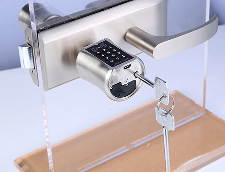 High Security Euro Standard Electronic BLE Smart Door Lock Cylinder Handle with TTlock App