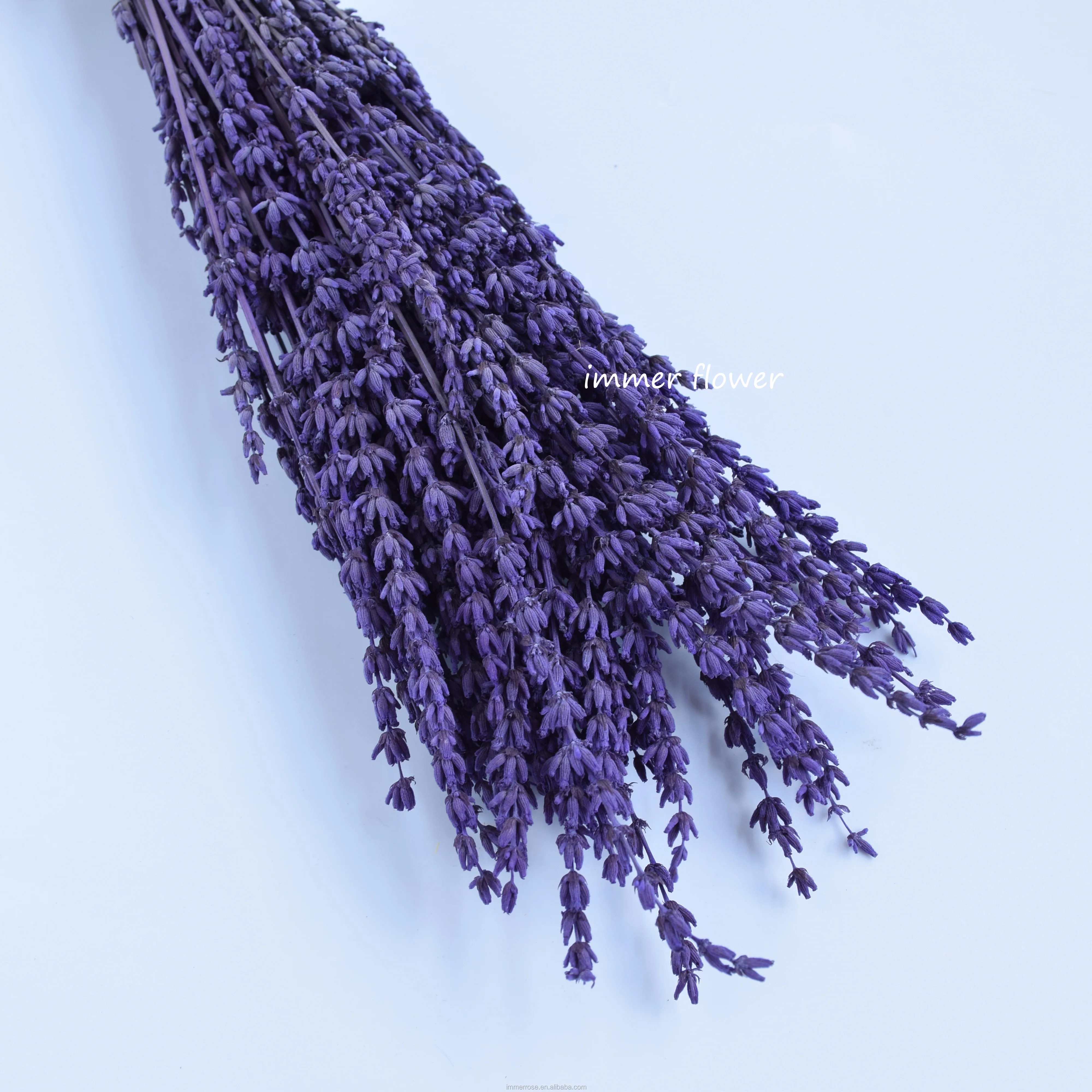 Wholesale Decorative Stabilized Lavender Preserved Lavender Flower