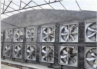 36.42.48.54 Inch 900.1060 1220 1380mm Industrial Ventilation Exhaust Fan For Greenhouse Poultry House
