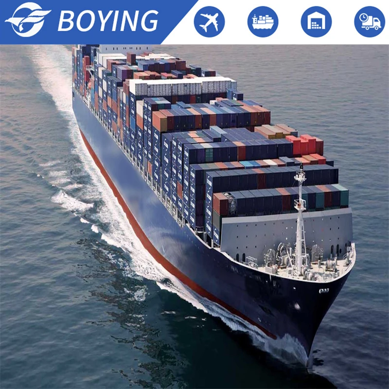 container shipping agent China To USA/Canada/Germany/Mexico   truck door  to door DDP Freight Forwarder Sea Cargo Freight Agent