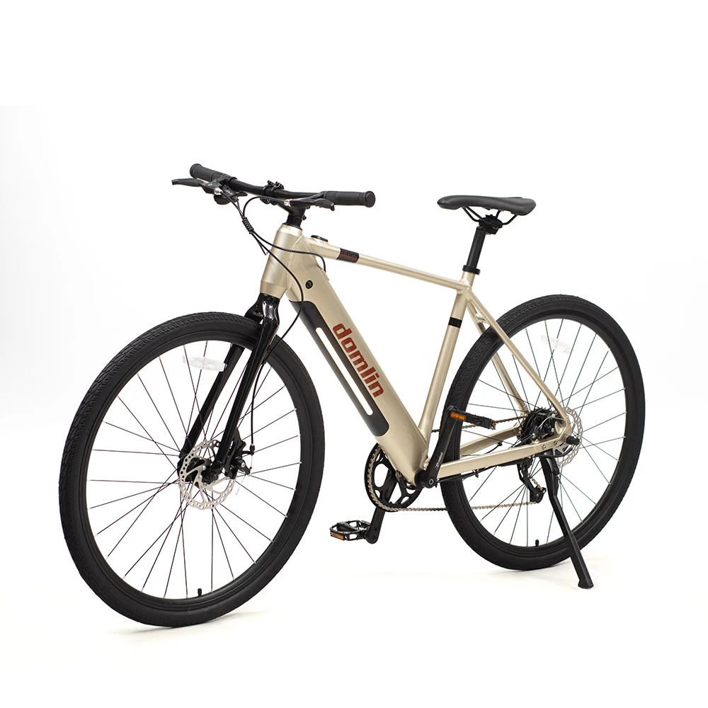 DOMLIN Lithium Battery Commuting City Ebike Step Through Electric Bike For City Travel