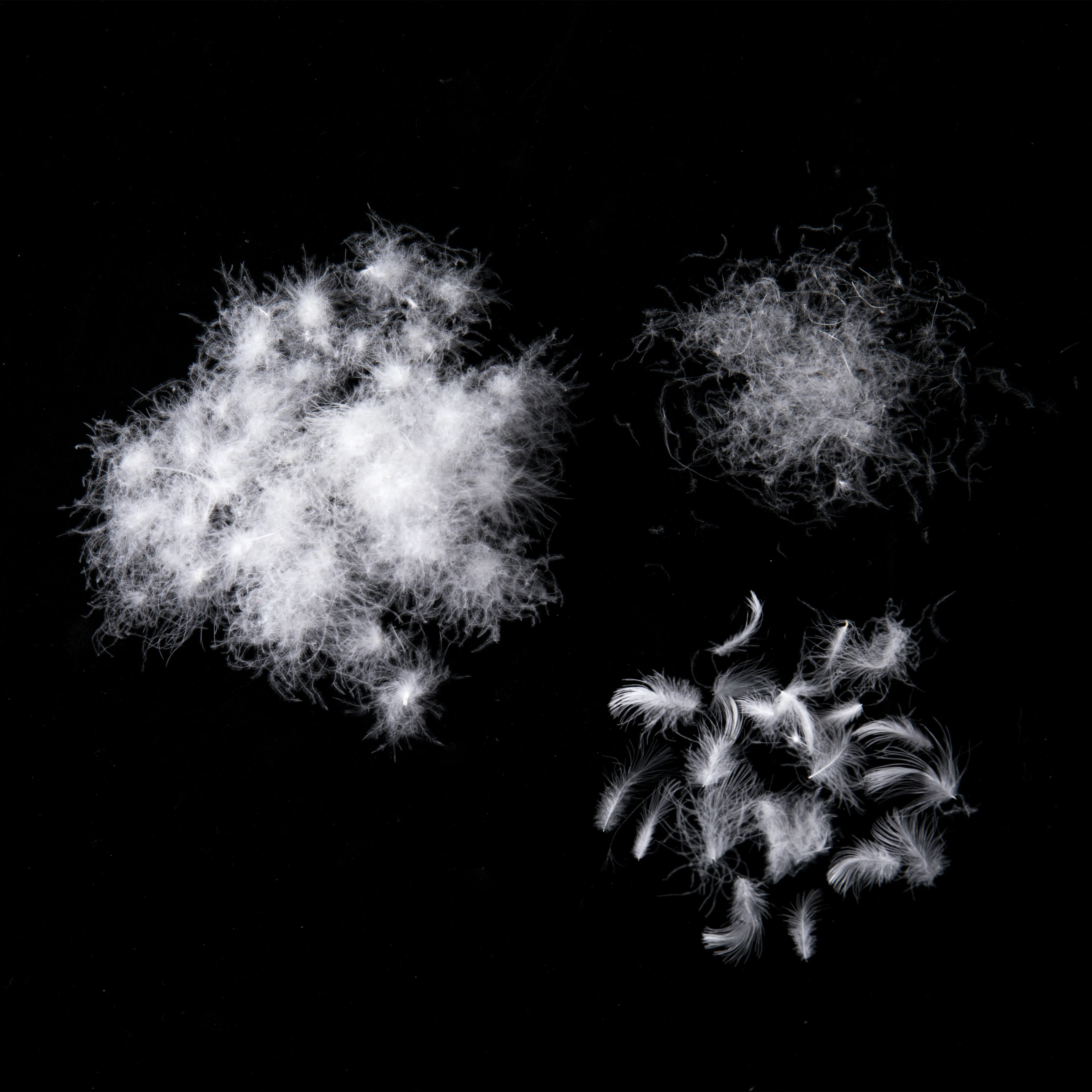 
2019 Factory Price 93% Washed Muscovy Pure White Used Down Feather For Pillow 