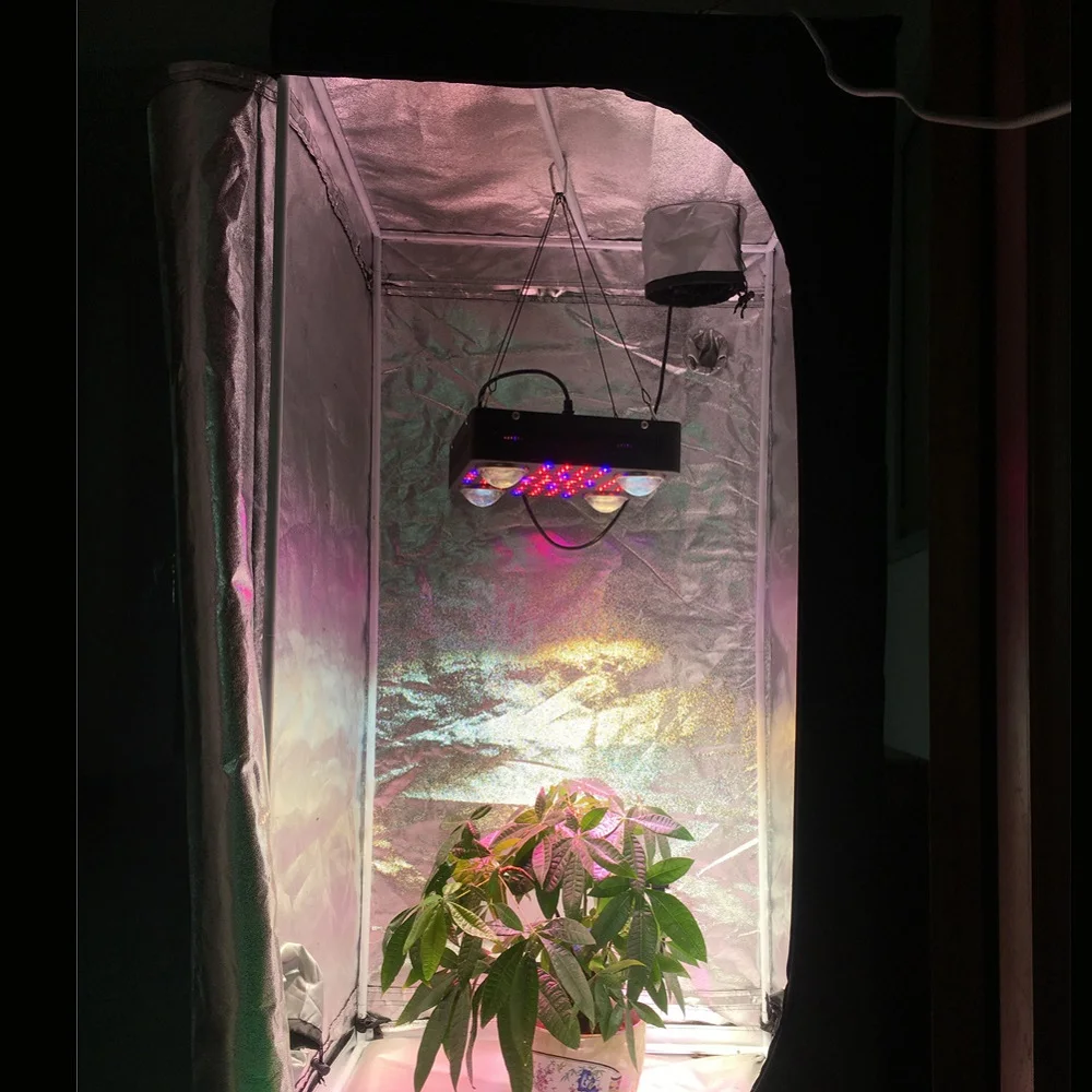 Wholesale Price High Lumen Full Spectrum COB LED Grow Lights  and Greenhouse Fill Light Lamp