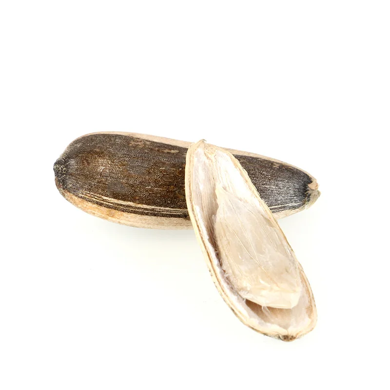 sale sunflower seeds for human eat