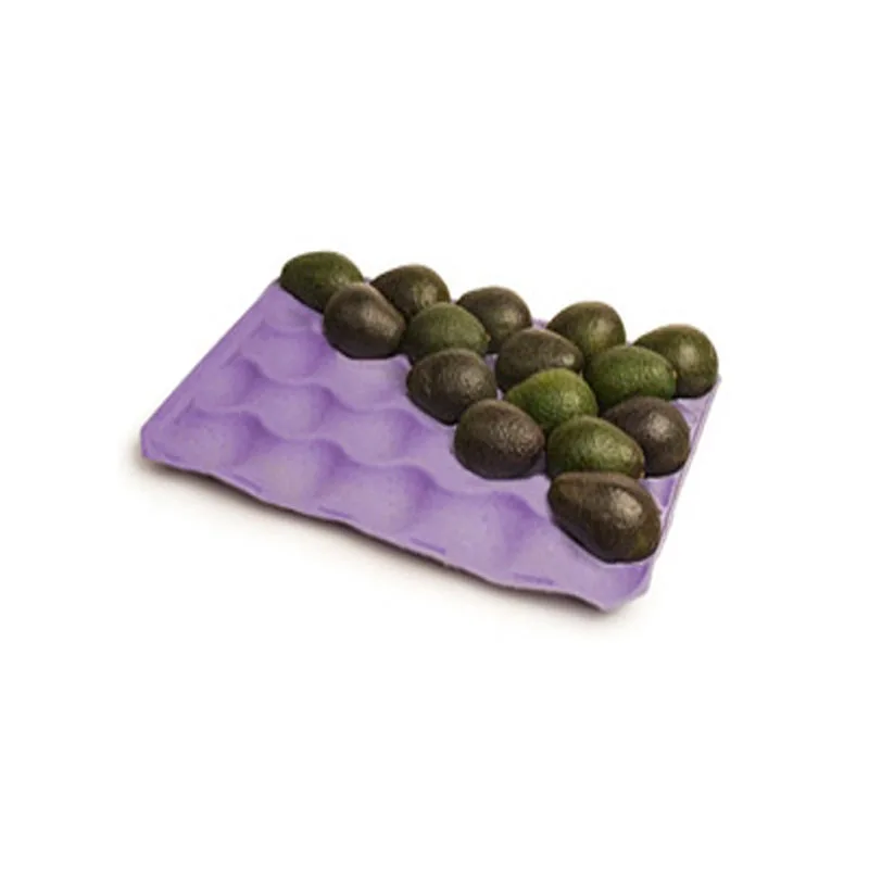 Top Quality 100% Eco-friendly Recyclable Biodegradable Protective Customized Molded Pulp Tray Packaging for Fruit Pulps Tray