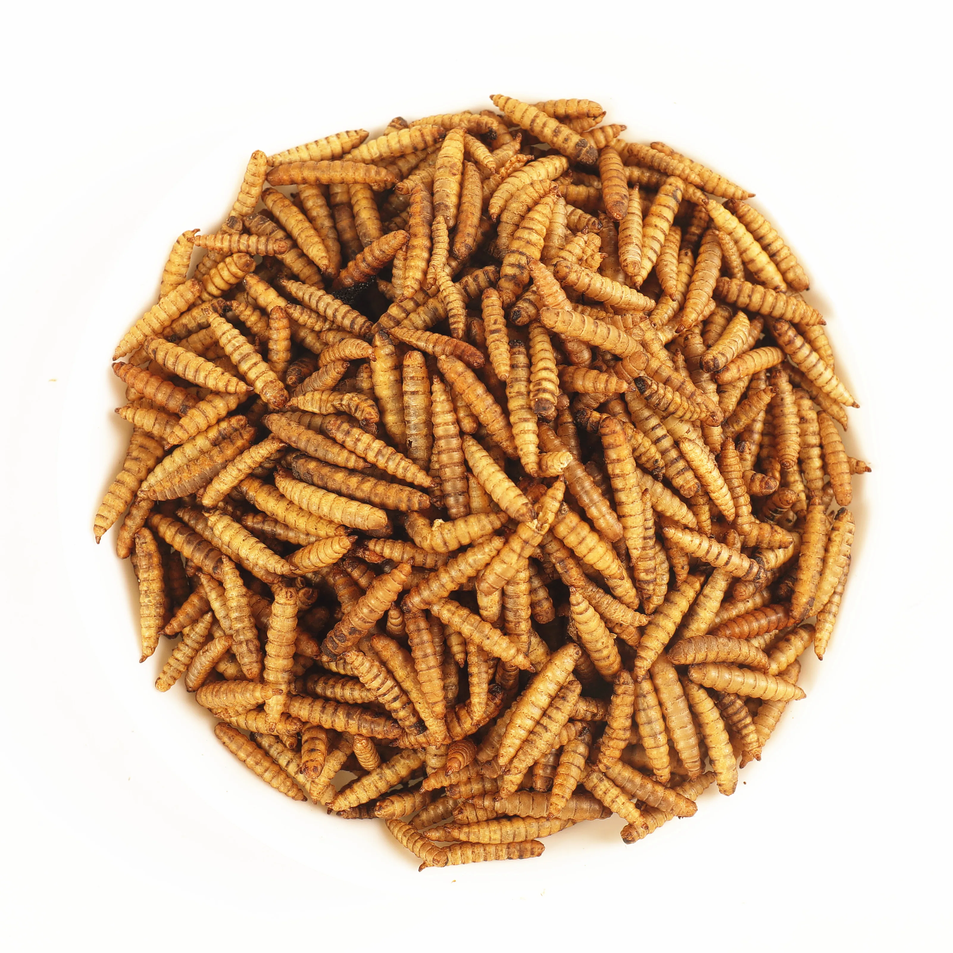 
Original Flavor Animal Feed 100% Microwave Black Soldier Fly BSFL Dried Larvae 