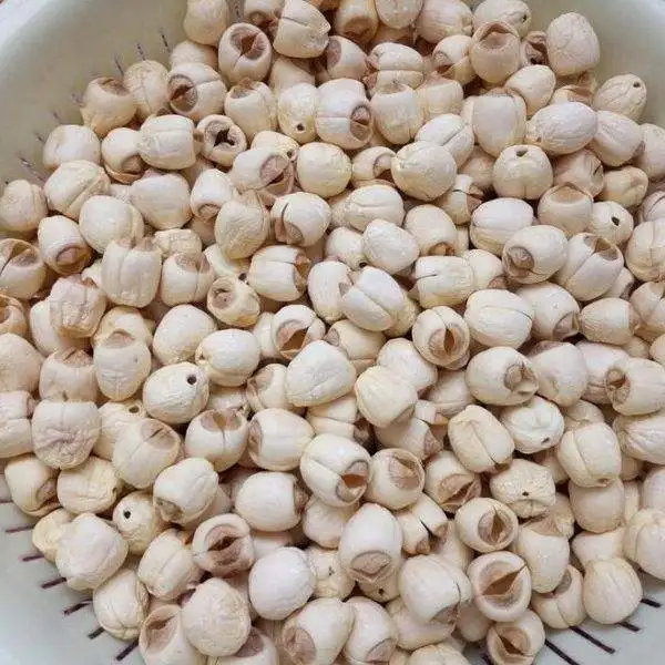 Экспорт сушеных семян лотоса семена Сушеные Семена