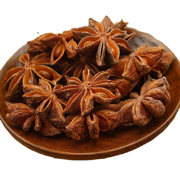 Wholesales 2022 new crop high quality and low price anise food China Spices star anise herb star anise aniseed with low price