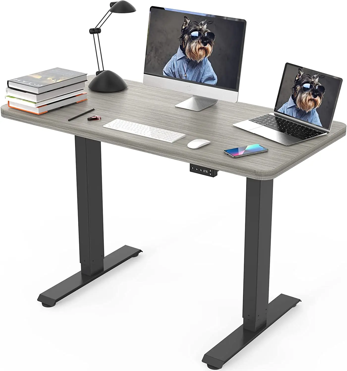standing desk 2024 model type