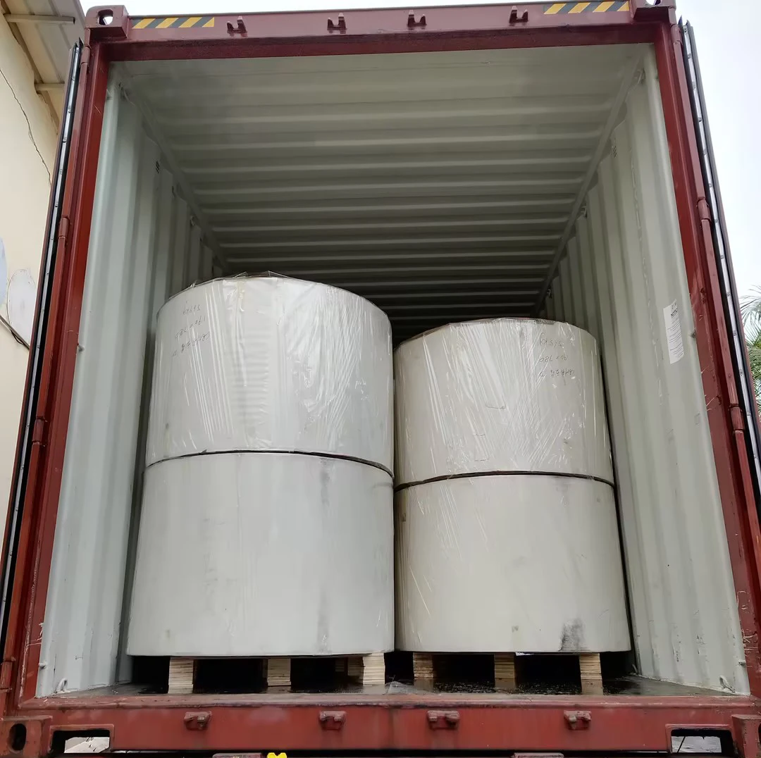 Eco-Friendly Flexo Offset Printing Raw Material PE Coated Paper Roll For Paper Cups Bowl