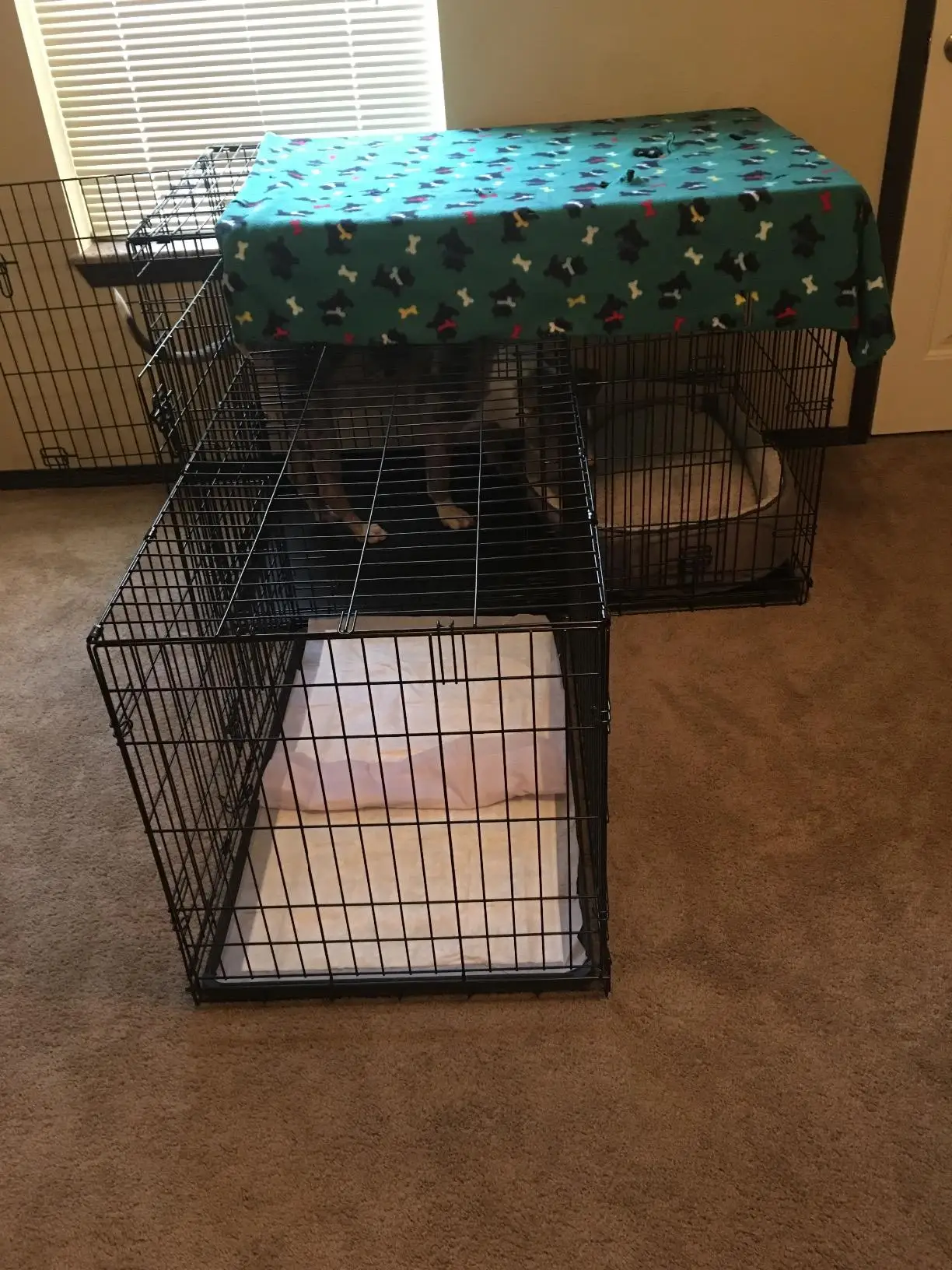 Folding Metal Dog Crate Single Door Pet Cage Wholesale