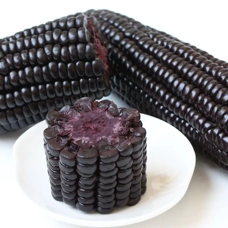 High quality sweet corn of purple corn