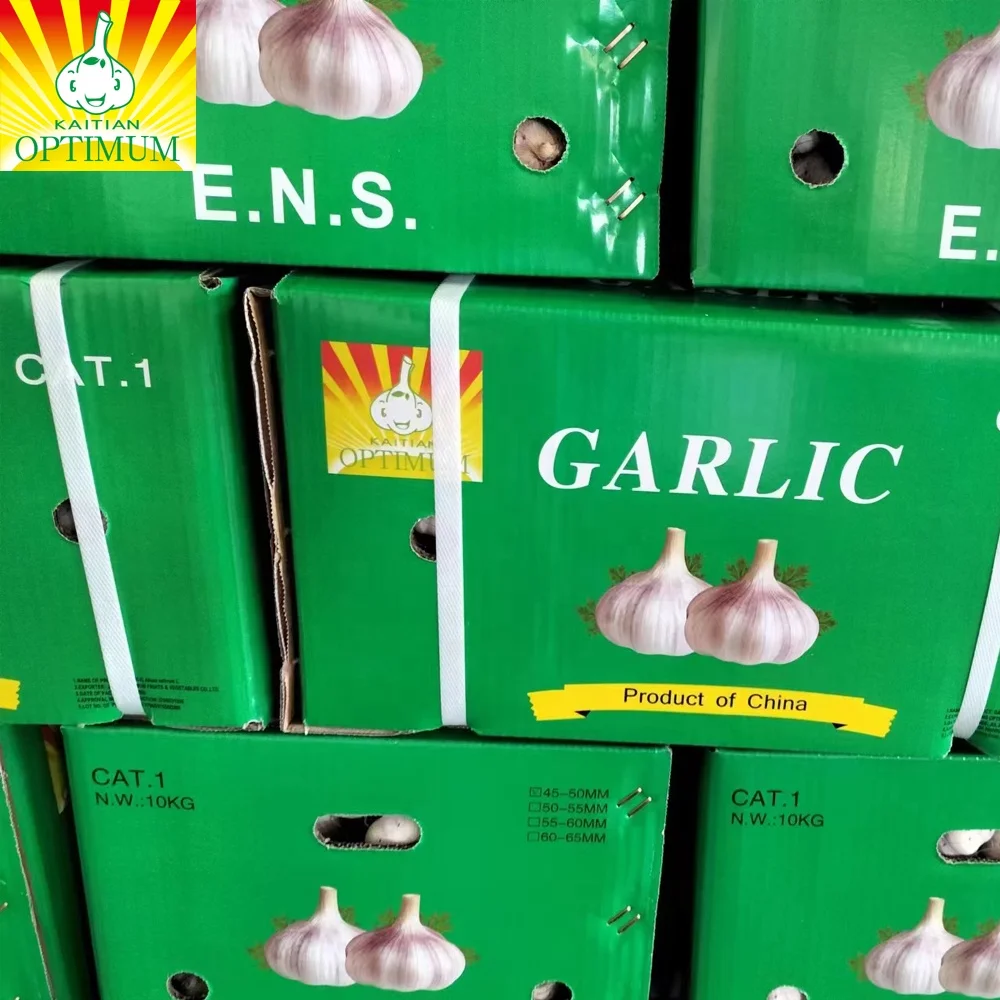 China Fresh garlic Fresh garlic Fresh peeled garlic for exporting  -Ajo