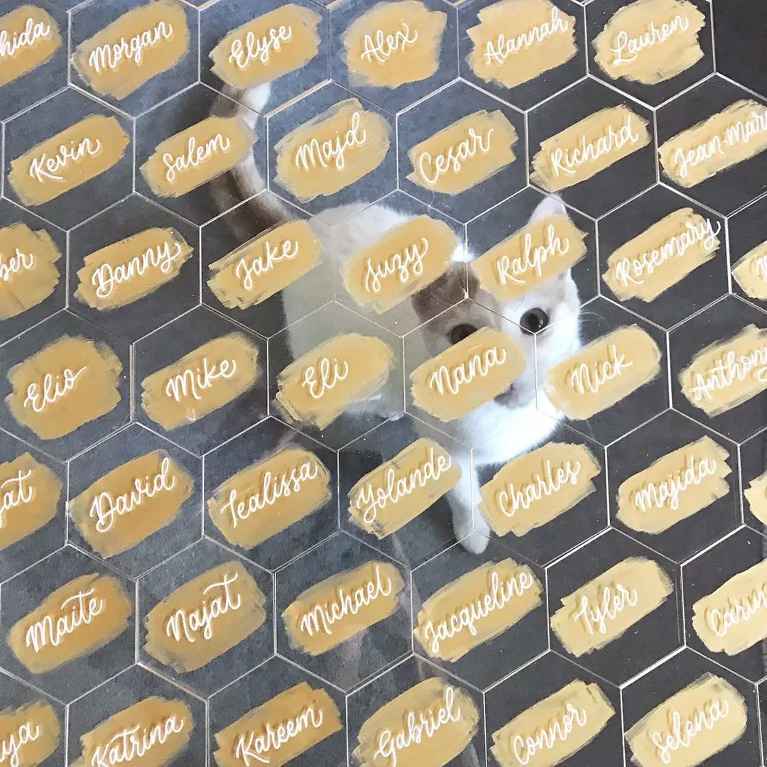 Blank Acrylic Escort Plates Name Cards Clear Place for