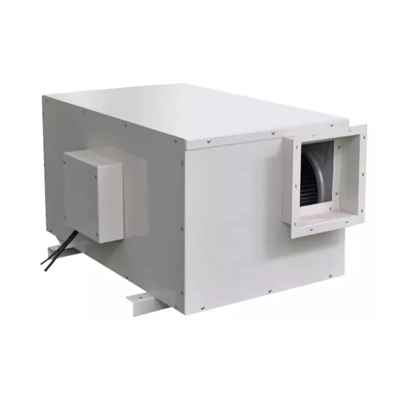 Air Refrigerator Desiccant Rotor Suspended Indoor Swimming Pool Industrial Dehumidifier