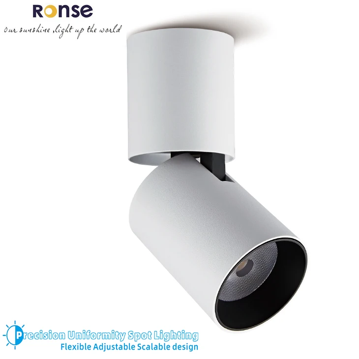 RONSE Low Price Aluminum Visual Comfort White Ceiling 12w 15w 30w 40w 45w Led Spot Light Stretch Spot Lighting Flexible Spot It