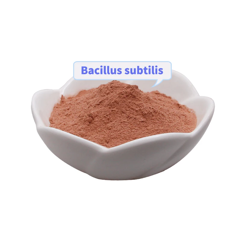 Bacillus subtilis vitamin premix probiotics powder feed additives promote digestion