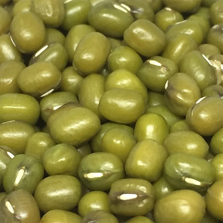 Good price various class sizes wholesale green mung beans crop price seed gram export excellent supplier