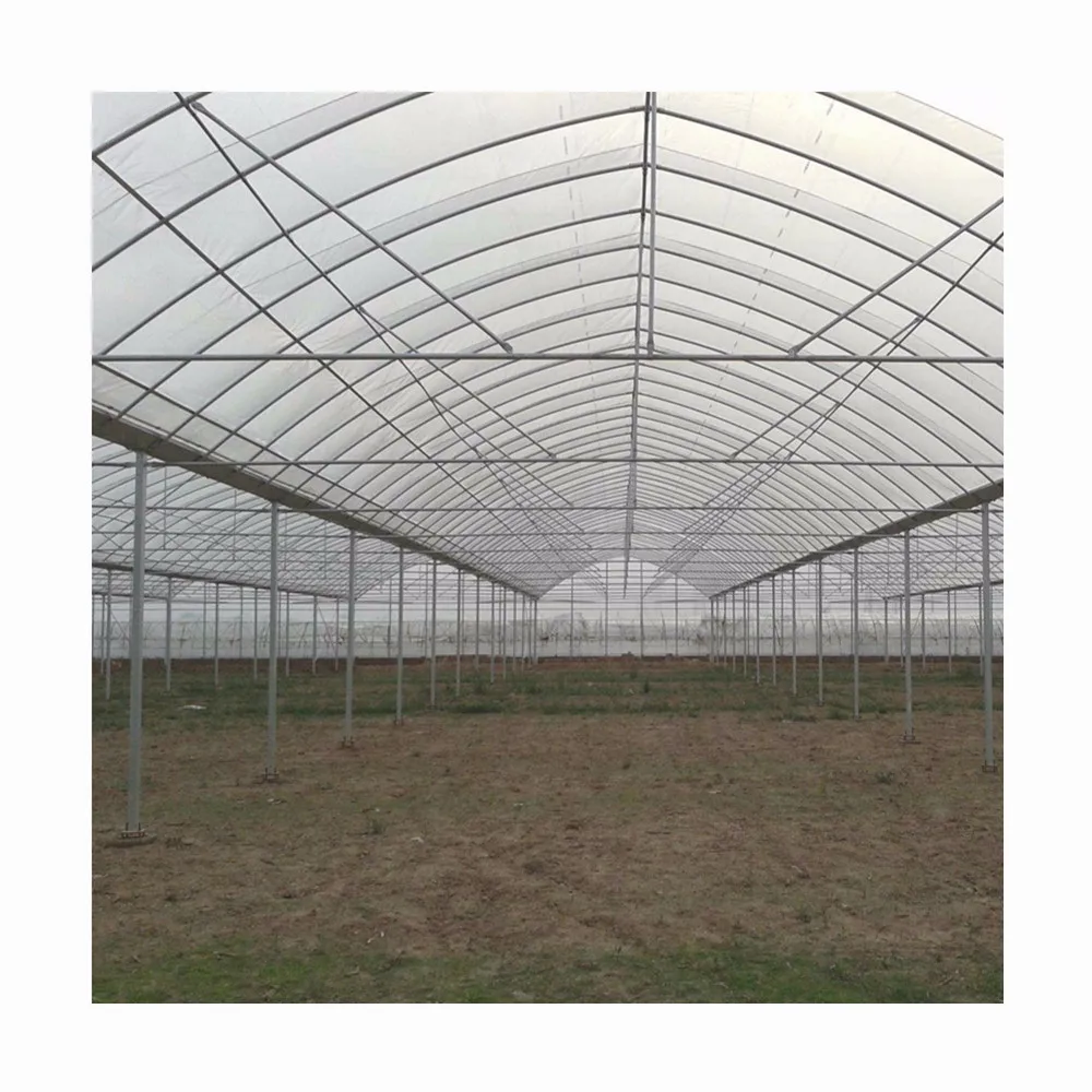 Single-span Greenhouses Agriculture Greenhouse For Planting