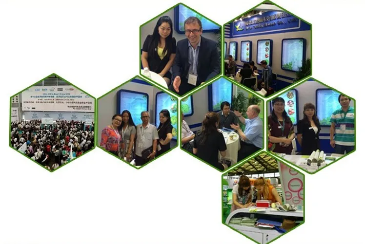 
Tonking Supply High Quality Chromium Enriched Yeast Powder 