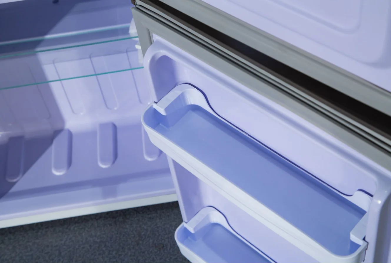 High Quality BCD-98 Household Mini Refrigerator Energy Saving Low Noise Snowsea Brand Products Household Refrigerator