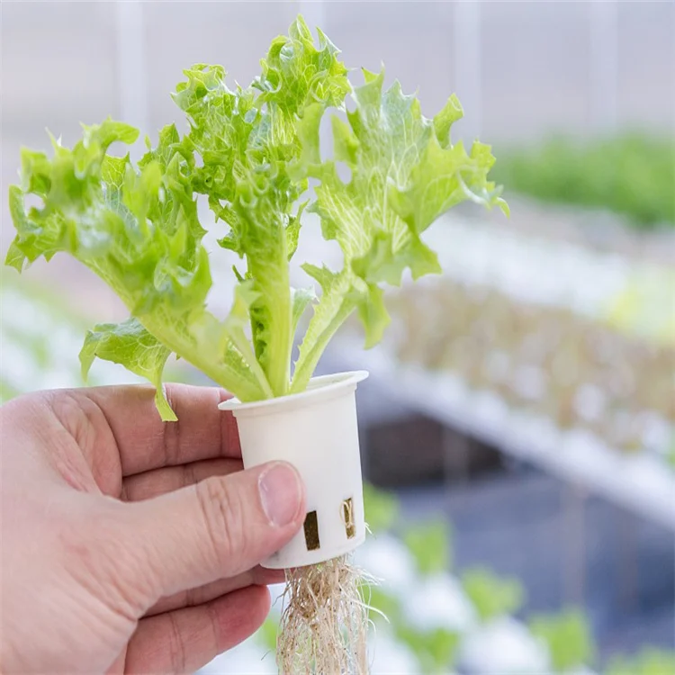 Commercial hydroponic PVC pipe system vegetable NFT hydroponic planting system PVC hydroponic