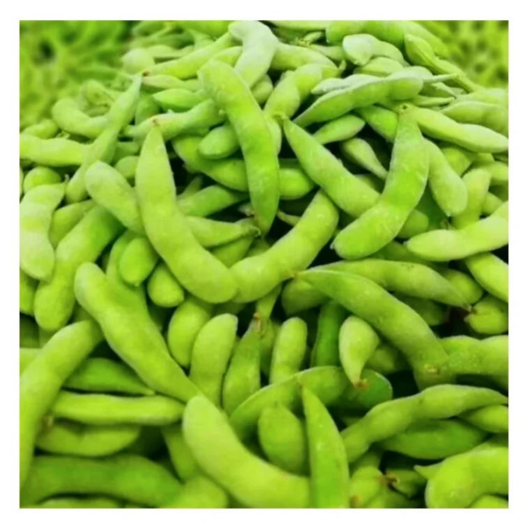 frozen edamame  frozen shelled edamame edamame bean frozen
